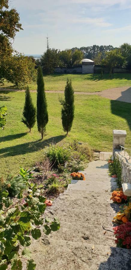Domaine De Bourgville Monts-sur-Guesnes Exterior foto